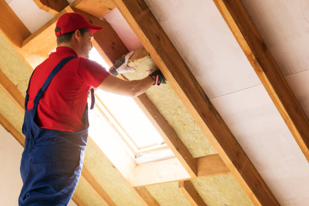 Best Attic Insulation Installation  in Fulda, MN